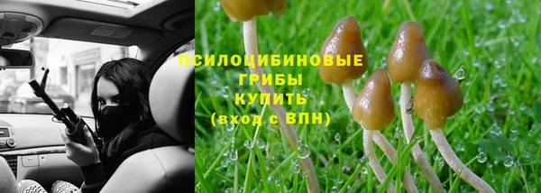эйфоретик Алексеевка