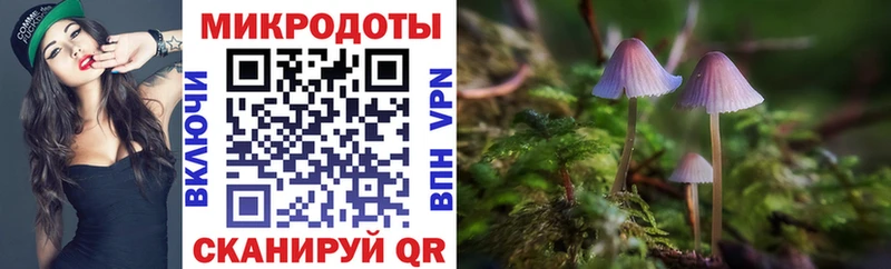 Псилоцибиновые грибы Psilocybe дарнет шоп сайты даркнета какой сайт Чайковский